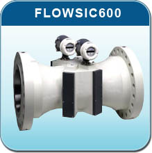 FLOWSIC600